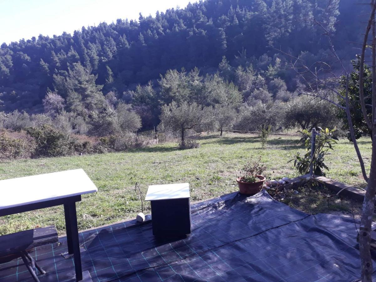 Wildherb House Agriovotano Exterior photo