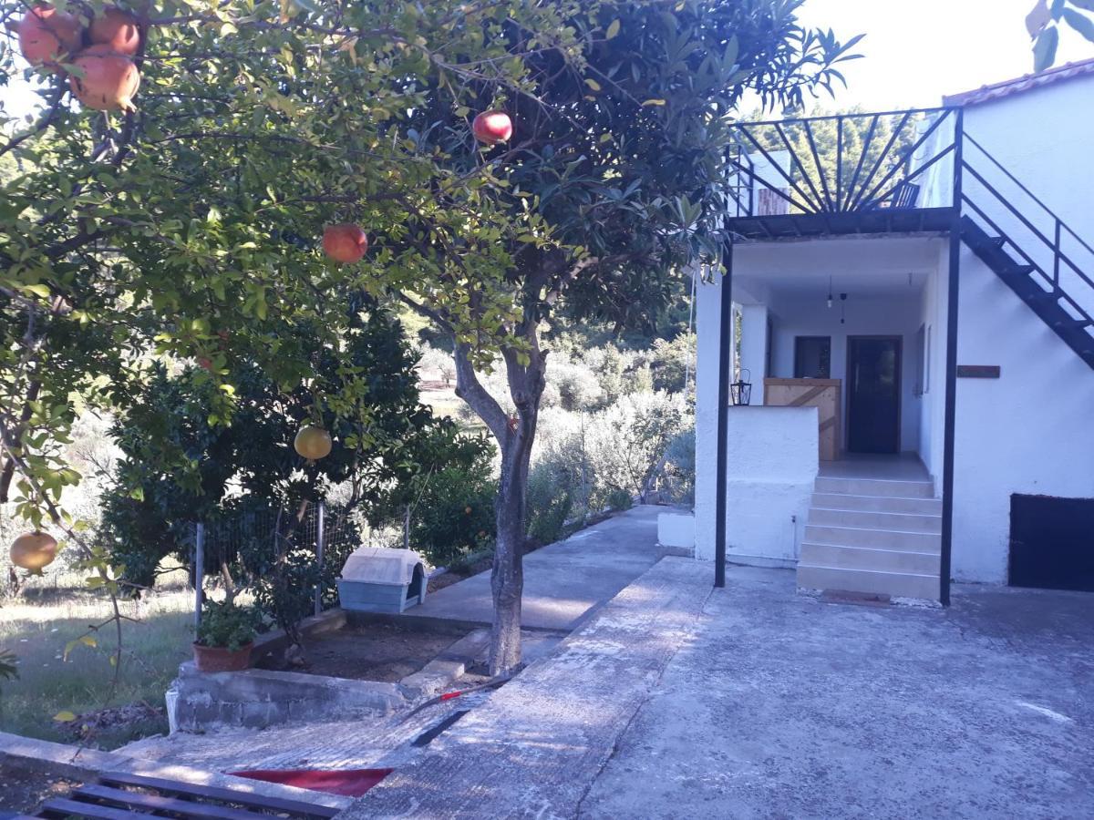 Wildherb House Agriovotano Exterior photo